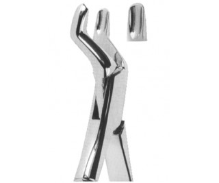 Extracting Forceps American pattern